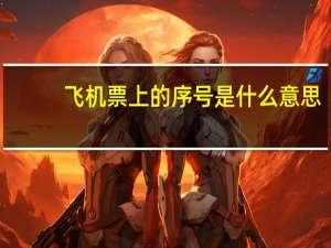 飞机票上的序号是什么意思