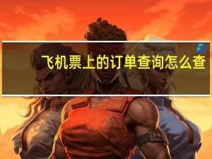 飞机票上的订单查询怎么查