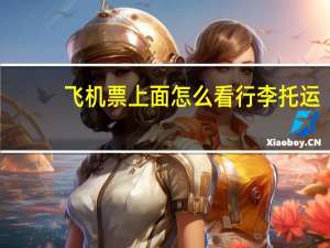 飞机票上面怎么看行李托运