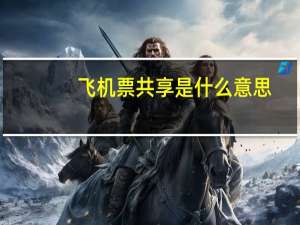 飞机票共享是什么意思