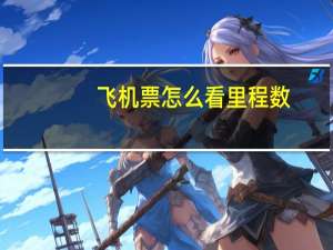 飞机票怎么看里程数