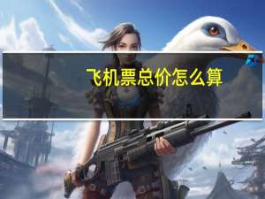 飞机票总价怎么算
