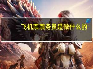 飞机票票务员是做什么的