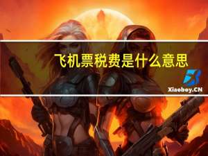 飞机票税费是什么意思