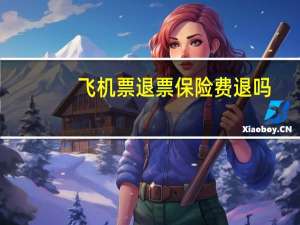 飞机票退票保险费退吗