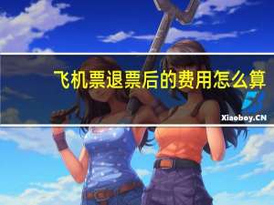 飞机票退票后的费用怎么算