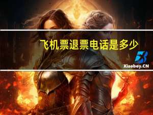 飞机票退票电话是多少