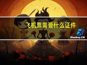 飞机票需要什么证件