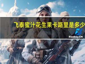 飞泰 蜜汁花生果卡路里是多少