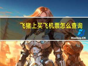 飞猪上买飞机票怎么查询