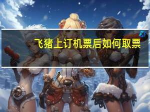 飞猪上订机票后如何取票