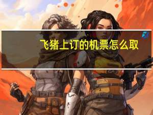 飞猪上订的机票怎么取