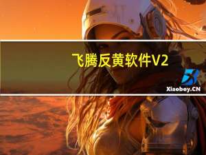飞腾反黄软件 V2.3.0.1010 官方版（飞腾反黄软件 V2.3.0.1010 官方版功能简介）