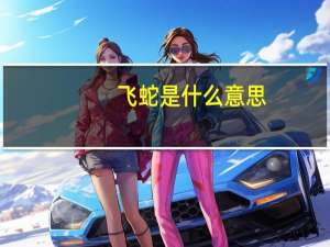 飞蛇是什么意思