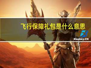 飞行保障礼包是什么意思