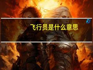 飞行员是什么意思
