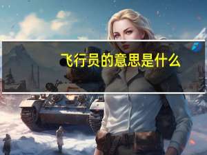飞行员的意思是什么