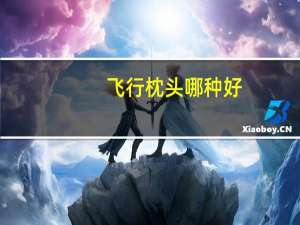 飞行枕头哪种好