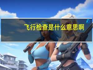 飞行检查是什么意思啊