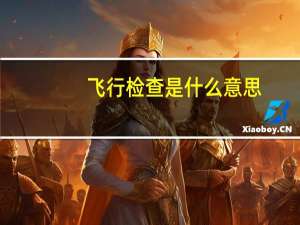 飞行检查是什么意思（飞行检查是什么意思）