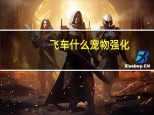 飞车什么宠物强化