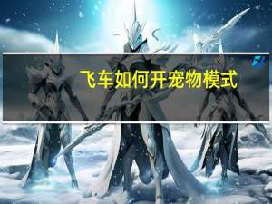 飞车如何开宠物模式
