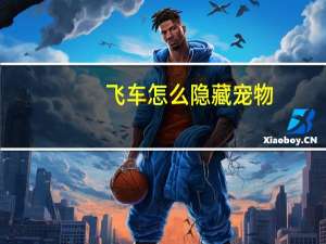 飞车怎么隐藏宠物