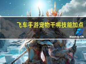 飞车手游宠物干将技能加点
