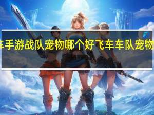 飞车手游战队宠物哪个好 飞车车队宠物兑换条件
