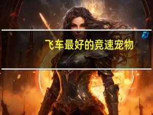 飞车最好的竞速宠物