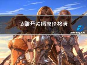 飞雕开关插座价格表（飞雕开关）