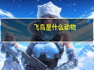 飞鸟是什么动物