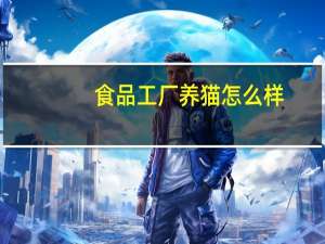 食品工厂养猫怎么样