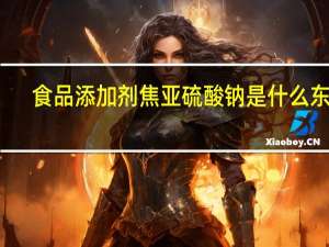 食品添加剂焦亚硫酸钠是什么东西