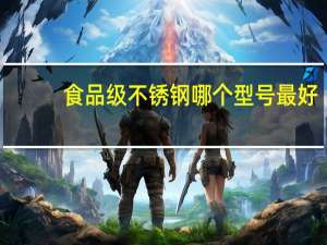 食品级不锈钢哪个型号最好