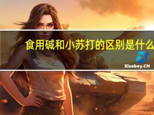 食用碱和小苏打的区别是什么