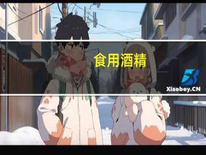 食用酒精