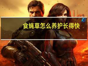 食蝇草怎么养护长得快