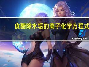 食醋除水垢的离子化学方程式（食醋除水垢离子方程式）