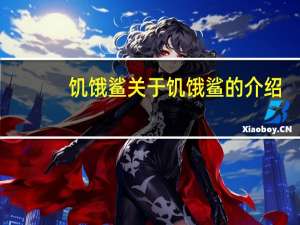 饥饿鲨 关于饥饿鲨的介绍