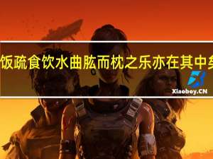 饭疏食饮水曲肱而枕之乐亦在其中矣理解