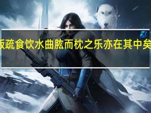 饭疏食饮水曲肱而枕之乐亦在其中矣的事例