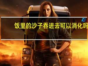 饭里的沙子吞进去可以消化吗（风流董事长txt）