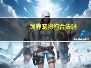 饲养宠物狗合法吗