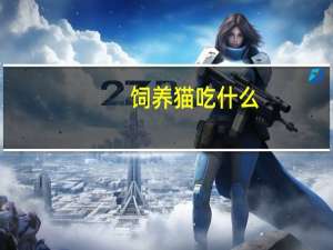 饲养猫吃什么