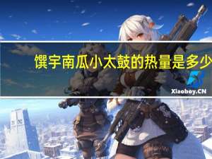 馔宇 南瓜小太鼓的热量是多少
