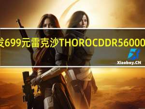 首发699元 雷克沙THOR OC DDR5 6000内存上架：单片1.6mm散热马甲