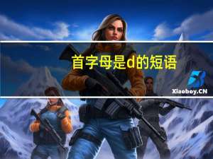 首字母是d的短语