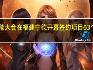 首届世界储能大会在福建宁德开幕 签约项目63个计划总投资1191.2亿元