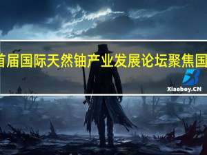 首届国际天然铀产业发展论坛聚焦国际合作